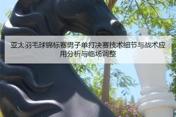 ya-tai-yu-mao-qiu-jin-biao-sai-nan-zi-dan-da-jue-sai-ji-shu-xi-jie-yu-zhan-shu-ying-yong-fen-xi-yu-lin-chang-tiao-zheng-2-647.jpg