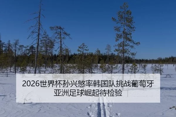 shi-jie-bei-sun-xing-min-lv-han-guo-dui-tiao-zhan-pu-tao-ya-ya-zhou-zu-qiu-jue-qi-dai-jian-yan-3-265.jpg